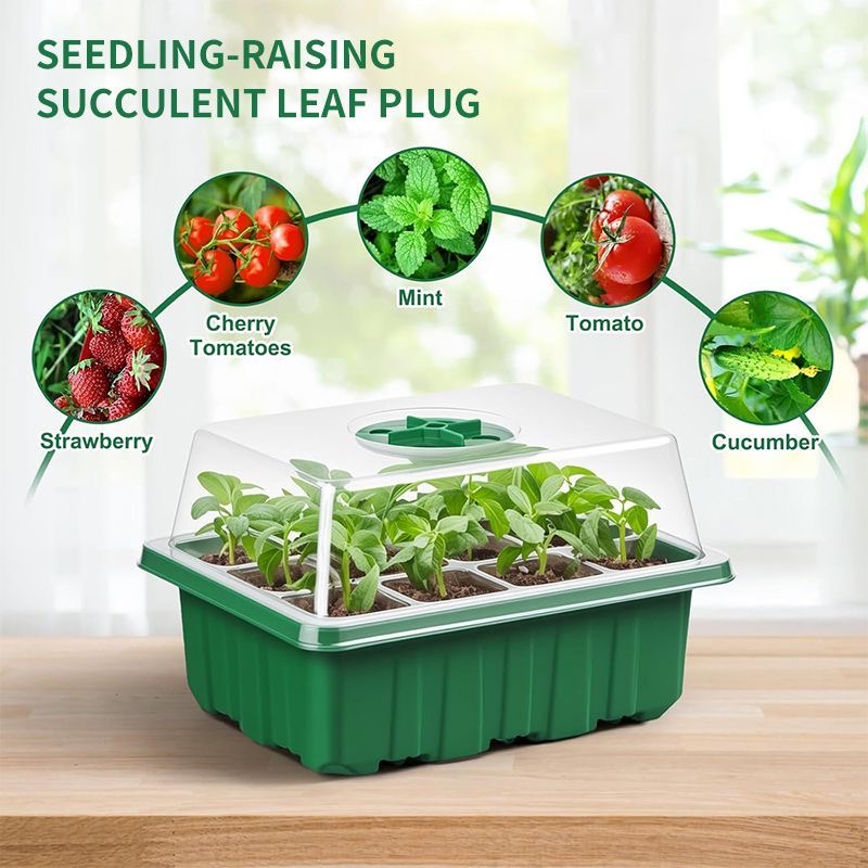 Kit de Germinação com Bandeja  - Dome Propagation Kit avaliação e preço
