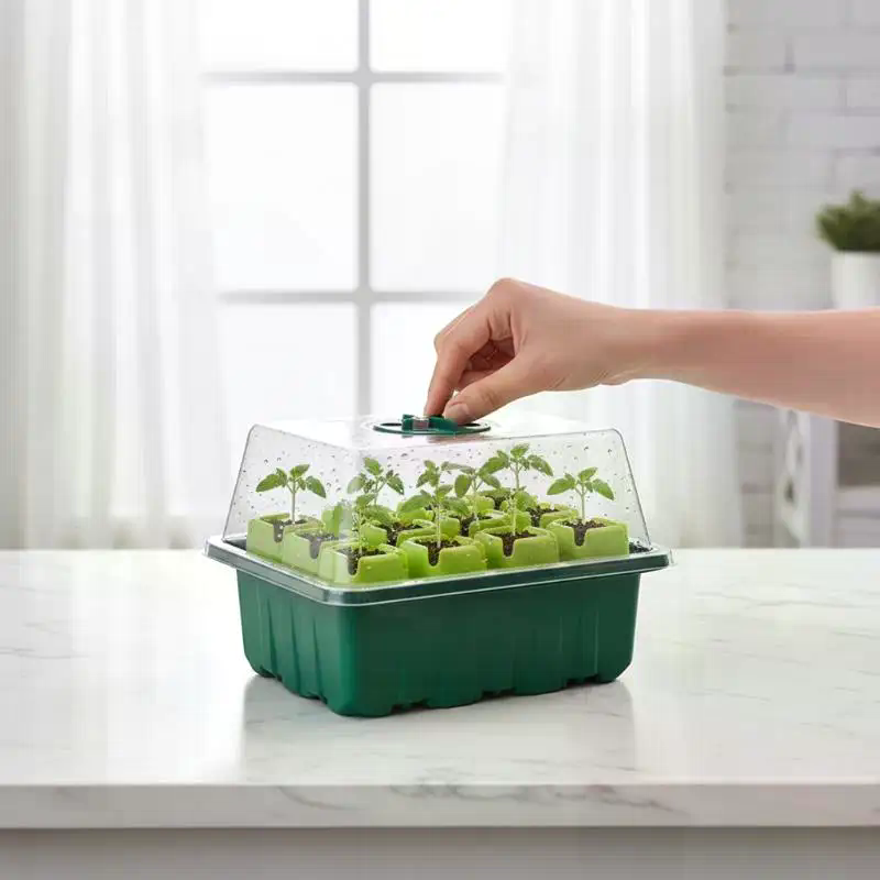 Kit de Germinação com Bandeja  - Dome Propagation Kit avaliação e preço
