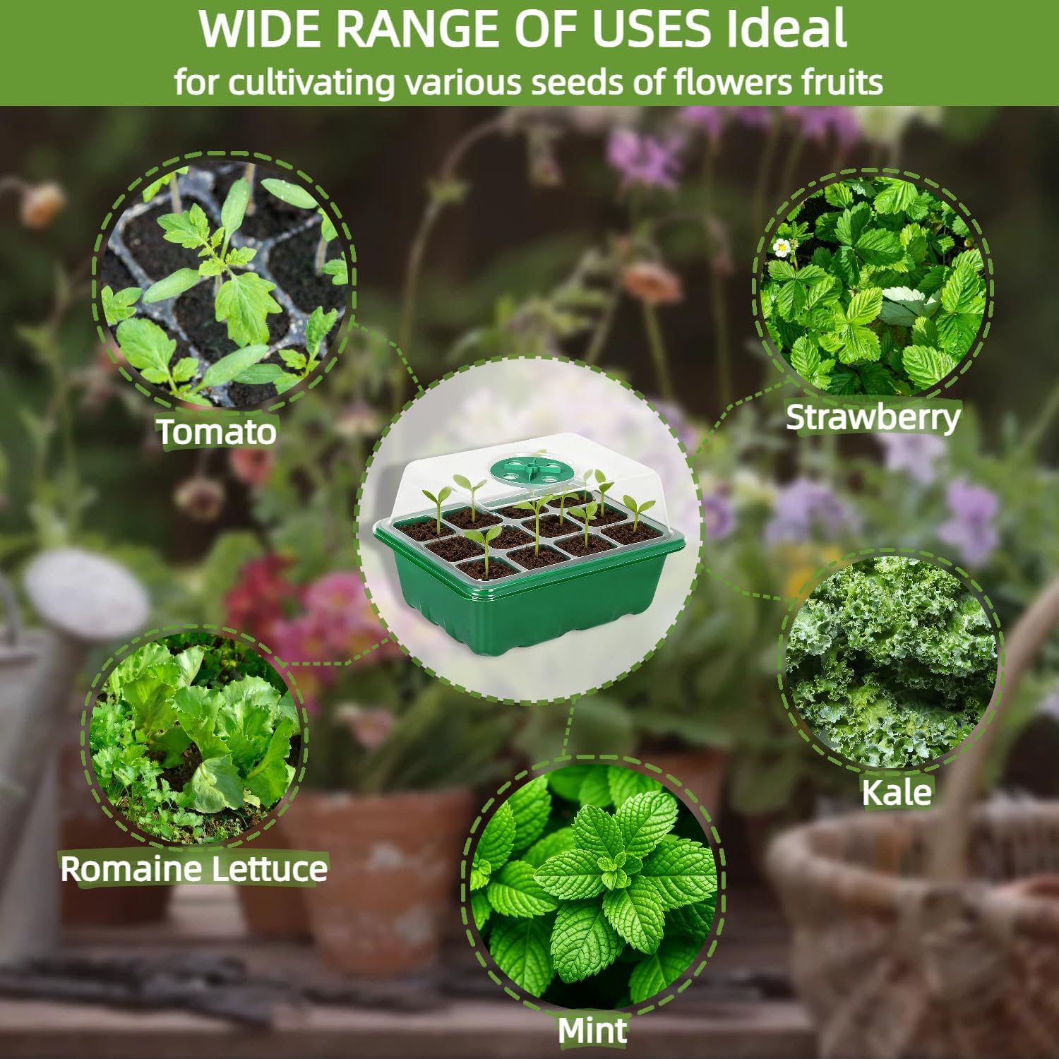 Kit de Germinação com 10 Bande - Dome Propagation Kit avaliação e preço