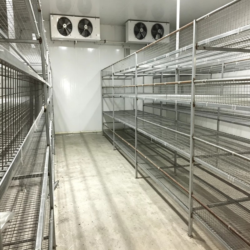 Fazenda Hidropônica em Contêin - Urban Farming Projects avaliação e preço