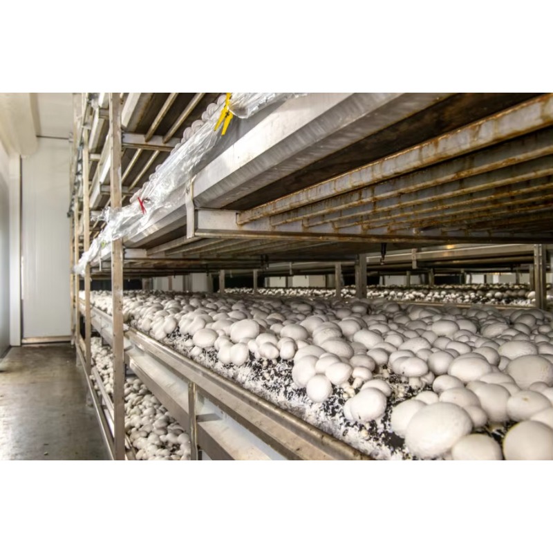 Fazenda Hidropônica em Contêin - Urban Farming Projects avaliação e preço