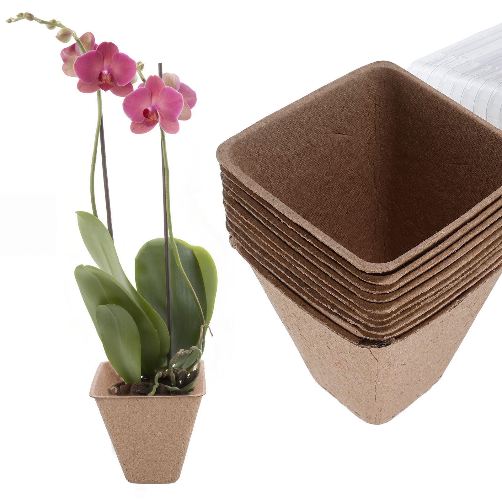 Kit de 10 Vasos Sustentáveis p - Dome Propagation Kit avaliação e preço