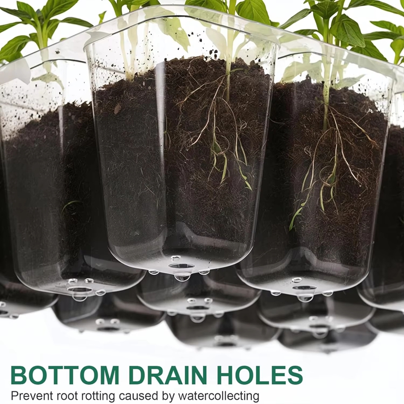 Kit de Germinação com Bandeja  - Dome Propagation Kit avaliação e preço